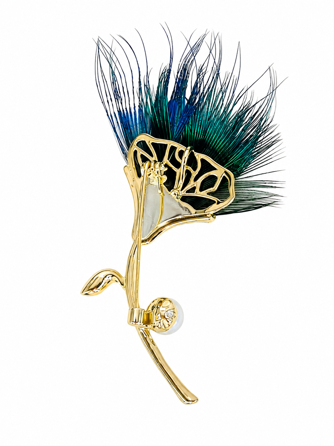 PEACOCK FEATHER — alternate view